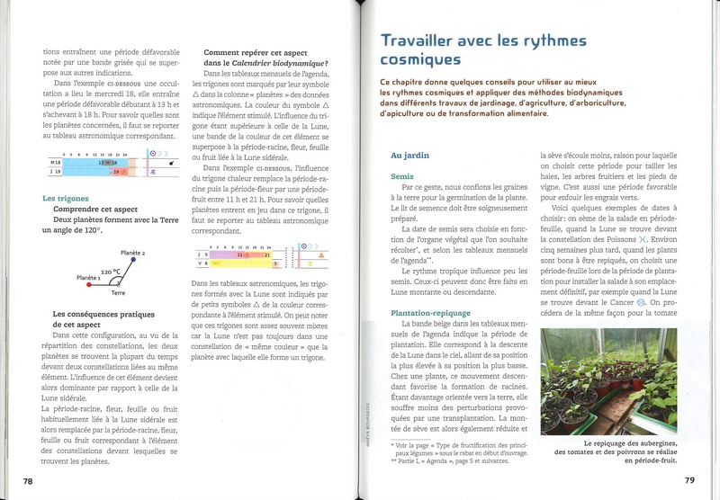 Calendrier biodynamique 2025 (semis)