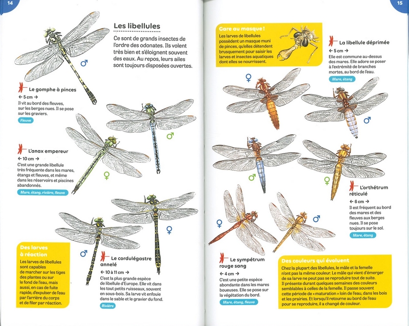 Petites bêtes des rivières et des étangs