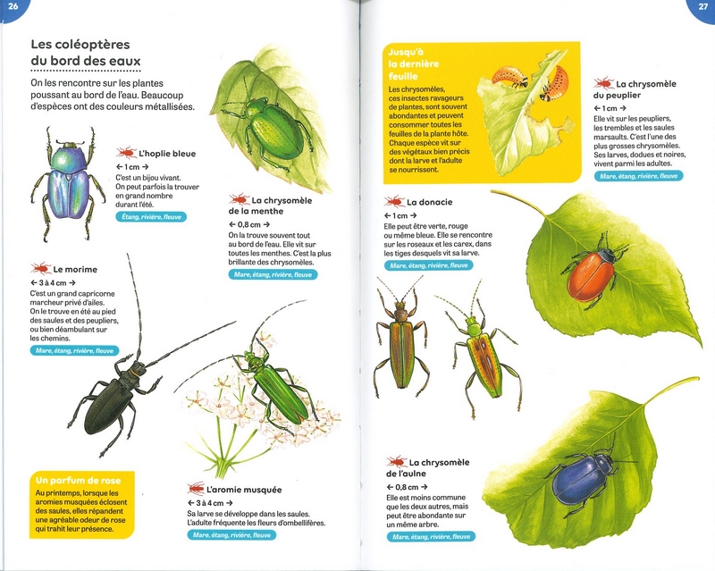 Petites bêtes des rivières et des étangs