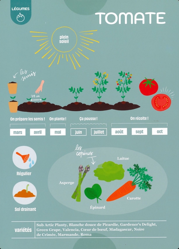 Les fiches du jardinier débutant - Le potager inratable