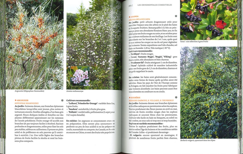 Toutes les plantes belles et comestibles