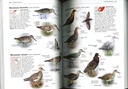 Tous les oiseaux d'Europe - Guide Delachaux