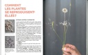 Récolter et semer ses graines potagères