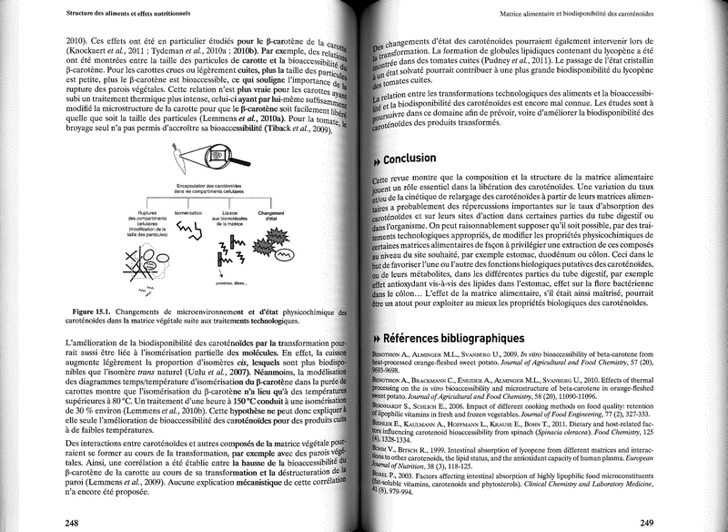 Structure des aliments et effets nutritionnels