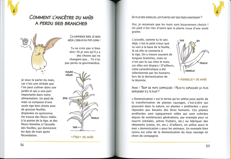 La fabrique des plantes T2