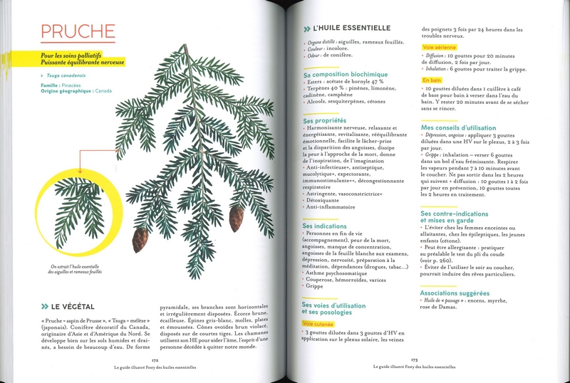 Le guide illustré Festy des huiles essentielles