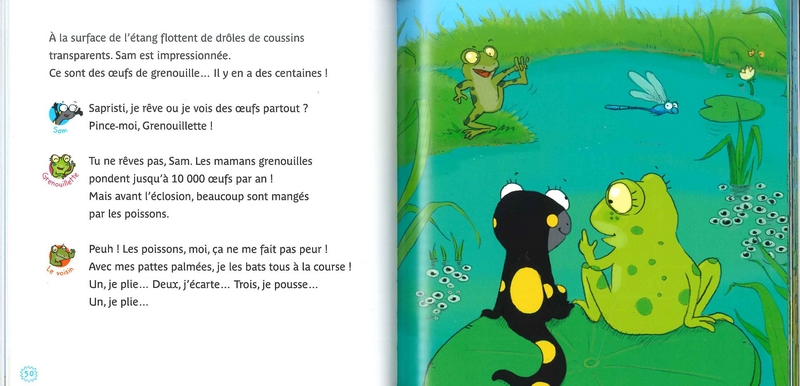 Les copains de la petite salamandre - Tome 1