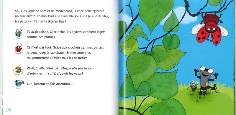 Les copains de la petite salamandre - Tome 1