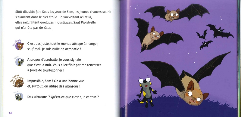 Les copains de la petite salamandre - Tome 2