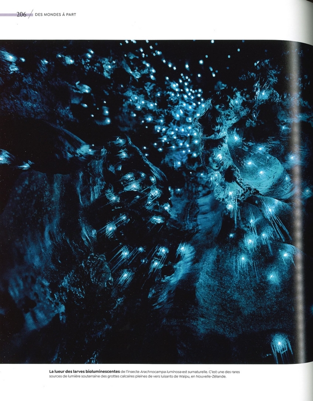 Habitats sauvages