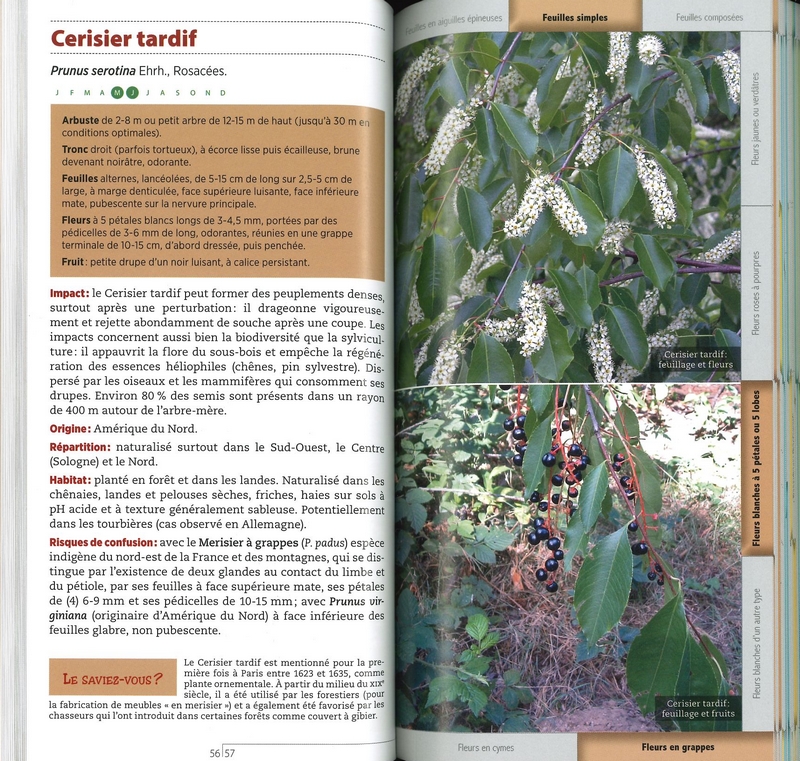 Guide des plantes invasives