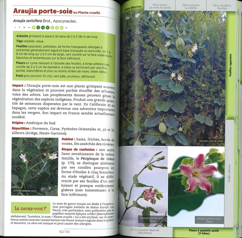 Guide des plantes invasives