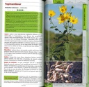 Guide des plantes invasives