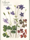 Mon herbier à colorier