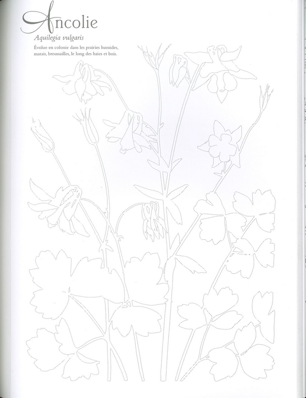 Mon herbier à colorier