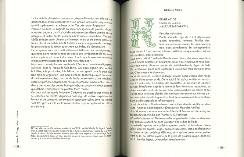 Le potager d'un curieux