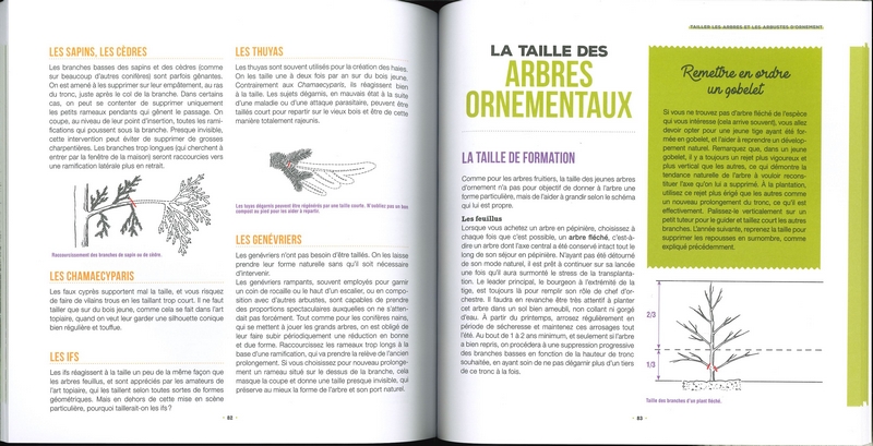 J'apprends à tailler mes arbres - Nelle édition