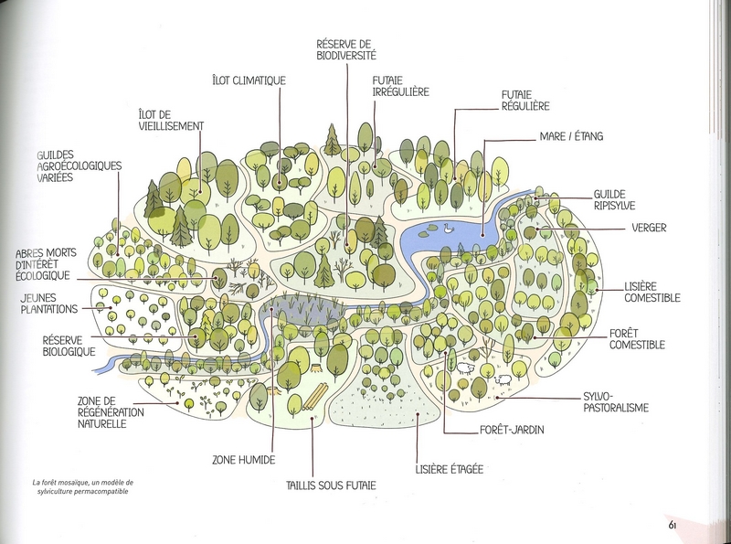 L'habitat permacole