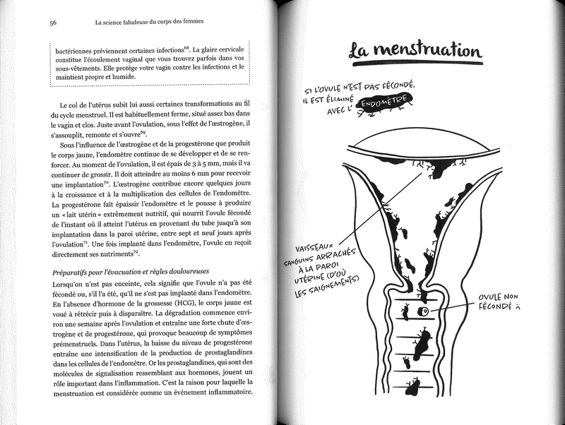 La science fabuleuse du corps des femmes