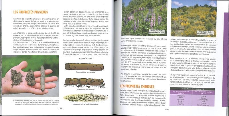 Mon potager en pente