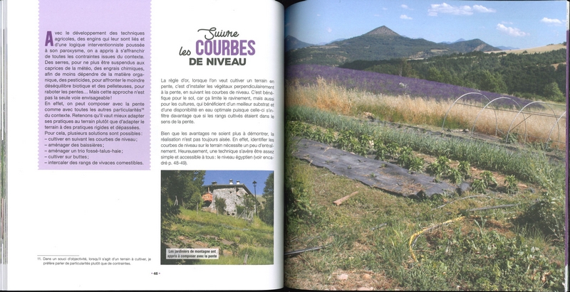 Mon potager en pente