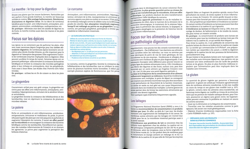 Le guide terre vivante de la santé du ventre