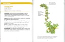 Fleurs des montagnes petits livres de la nature