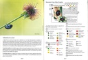 Les coccinelles - les carnets du naturaliste