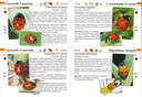 Les coccinelles - les carnets du naturaliste