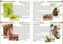 Les longicornes - les carnets du naturaliste