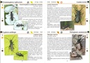 Les longicornes - les carnets du naturaliste