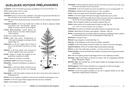 Initiation à la reconnaissance des fougères