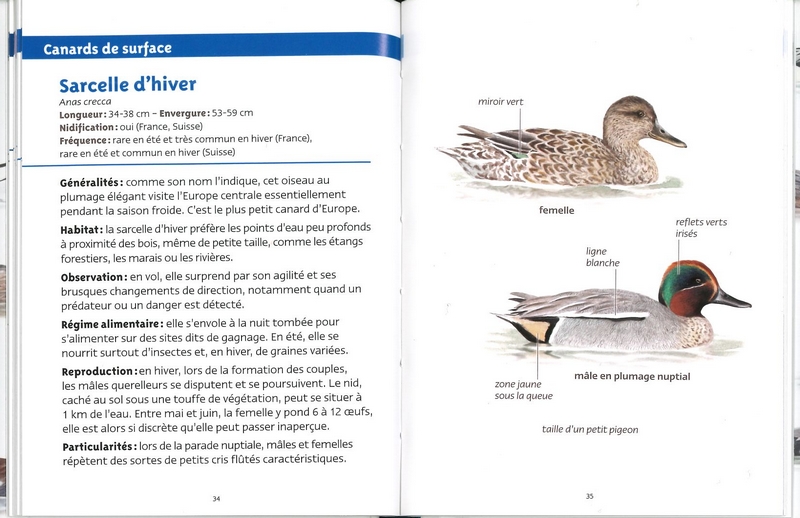 Oiseaux des lacs les petits livres de la nature