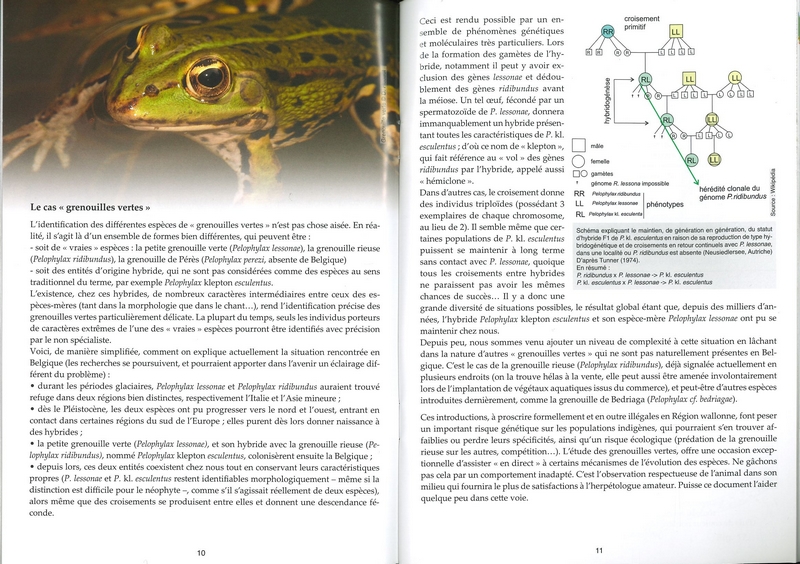 Les batraciens et les reptiles - les carnets du naturaliste