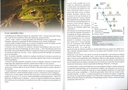 Les batraciens et les reptiles - les carnets du naturaliste