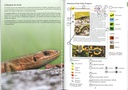 Les batraciens et les reptiles - les carnets du naturaliste