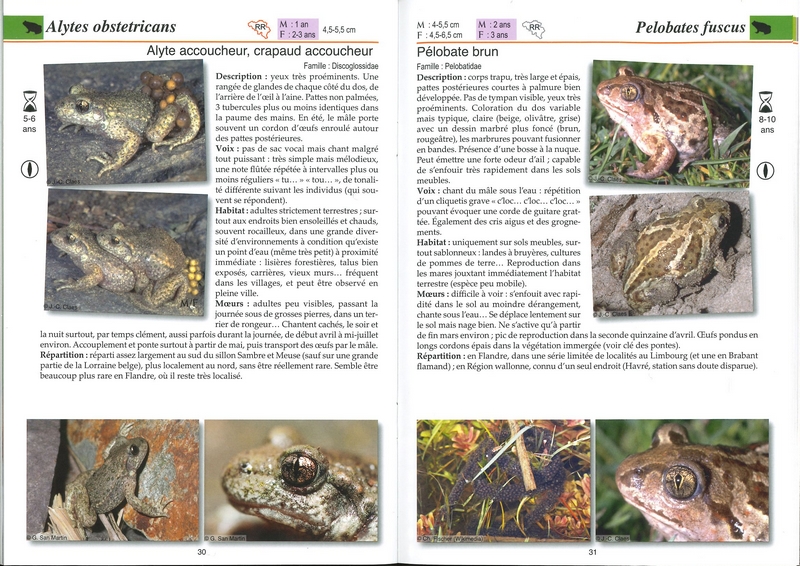Les batraciens et les reptiles - les carnets du naturaliste