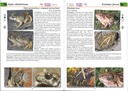 Les batraciens et les reptiles - les carnets du naturaliste