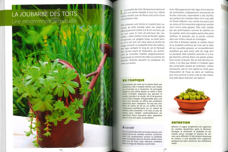Agir pour la nature balcons & terrasses