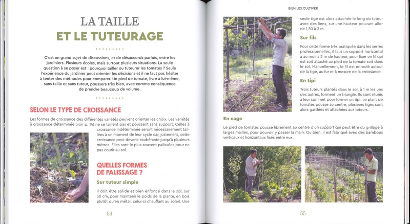 Tomates presque sans eau