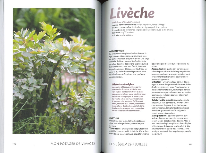 Mon potager de vivaces - nelle édition
