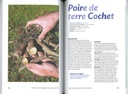 Mon potager de vivaces - nelle édition