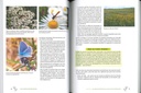 Les plantes biofaitrices