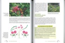 Les plantes biofaitrices