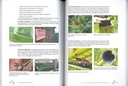 Les plantes biofaitrices