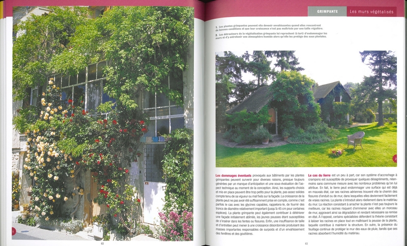 Réussir sa maison végétalisée