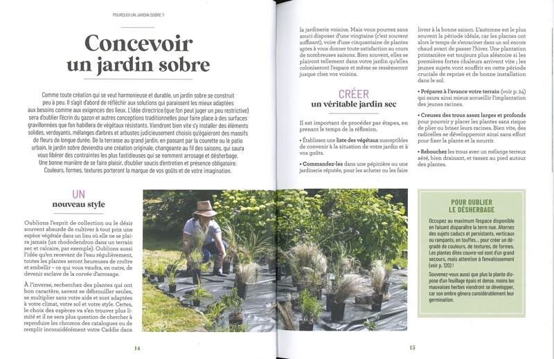 Les increvables au jardin