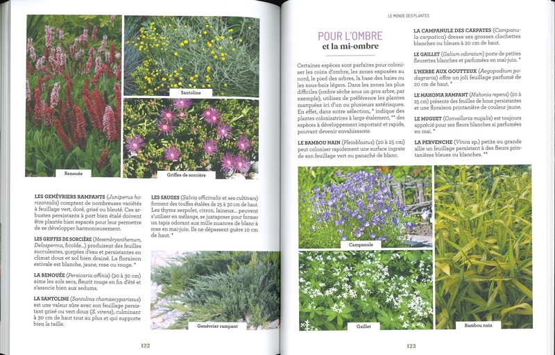 Les increvables au jardin