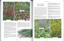 Les increvables au jardin