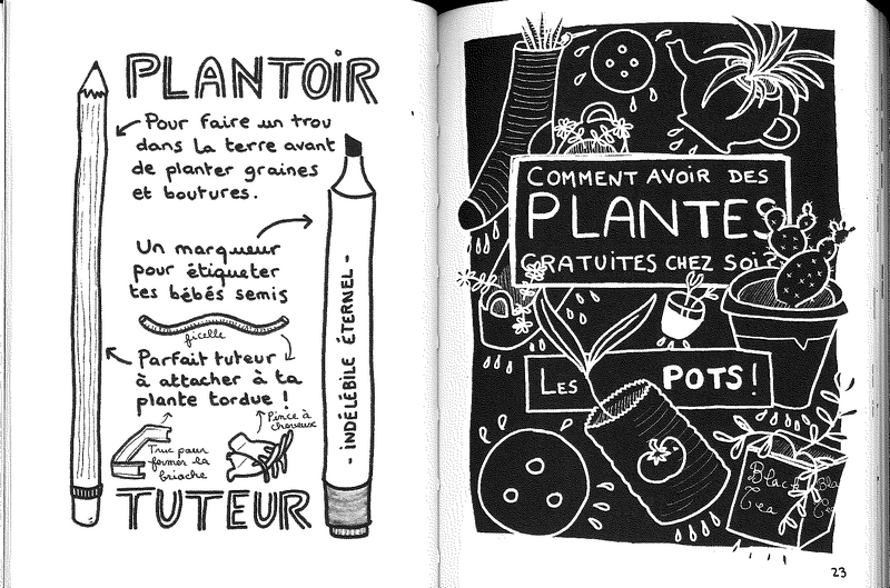 Comment avoir des plantes gratuites chez soi?